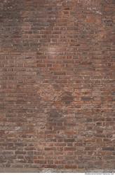 Photo Texture of Wall Bricks